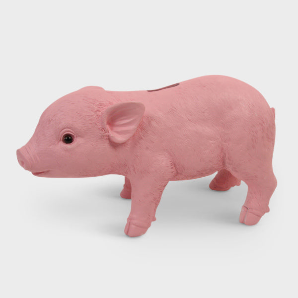 Pink Piggy Bank