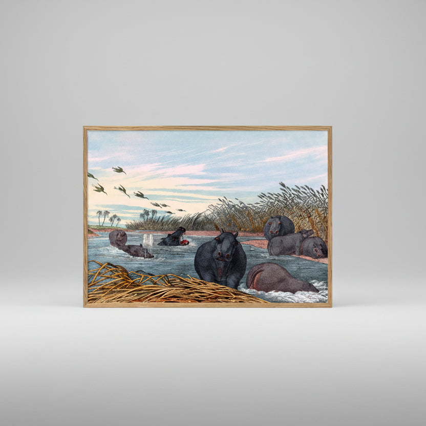 Colourful Hippopotamus Design Print