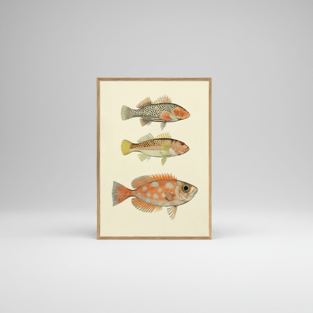 Stunning Fish Print Artwork