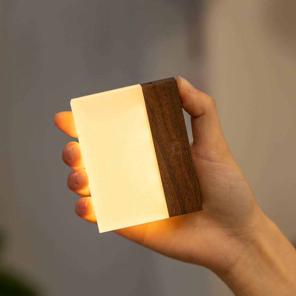 CuraCheese Night Light
