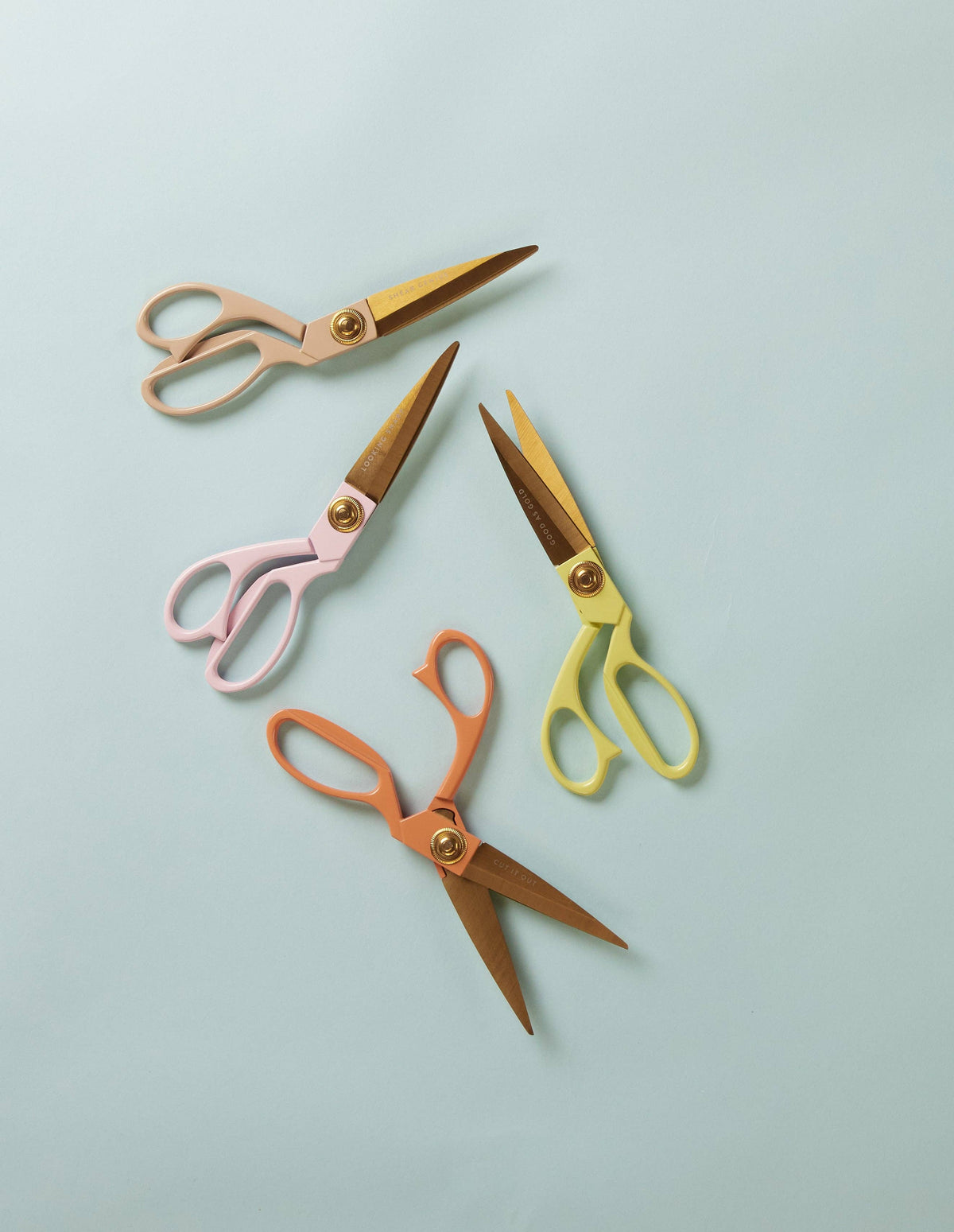 Designworks Ink Poppy Scissors in Gift Box