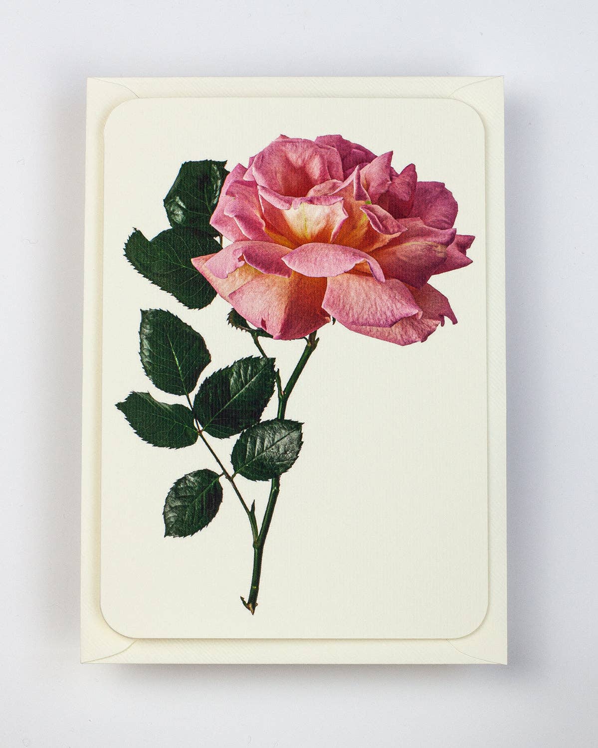 Pink Rose Greeting Card | Birthday Card | Luxury Cards