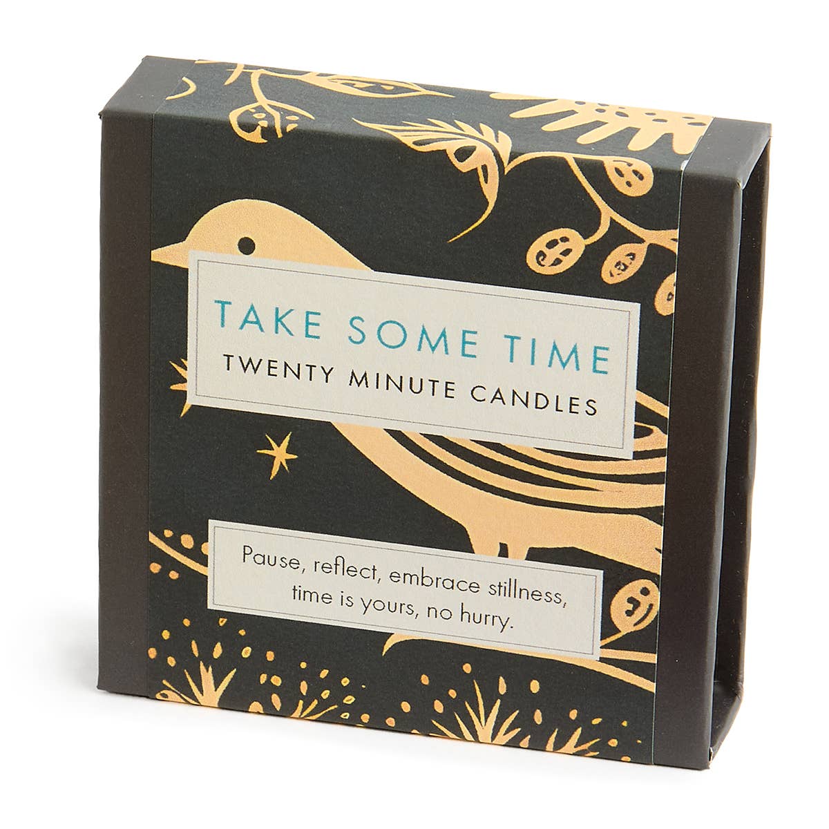 Take Some Time (Folk) EN