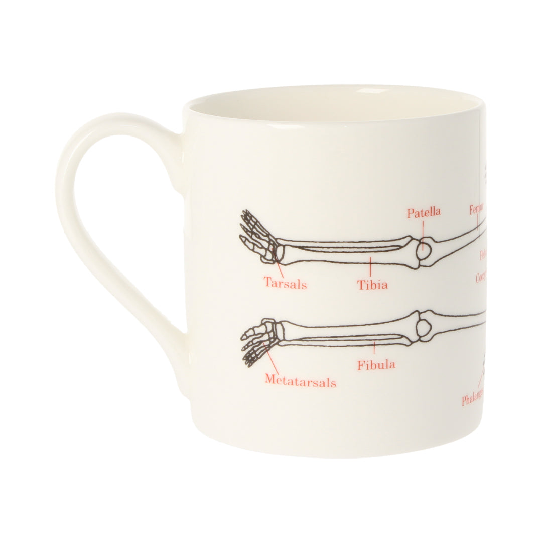 Human Skeleton Coffee Mug