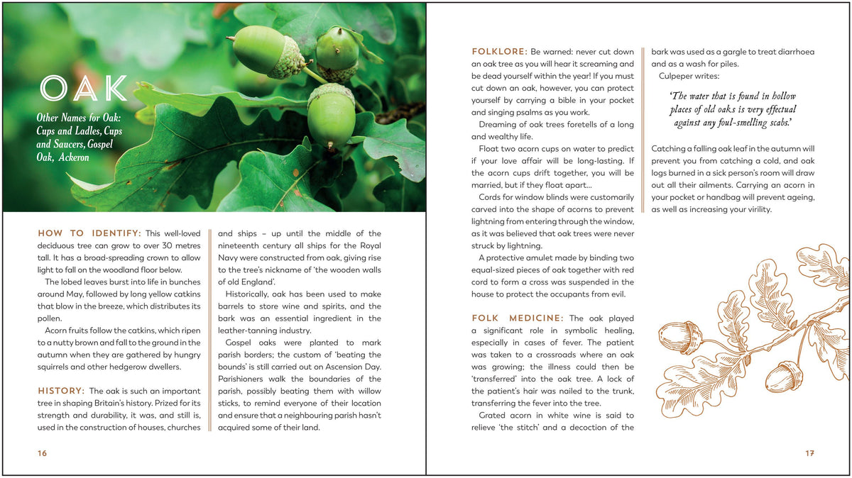 Hedgerow Apothecary: Recipes, Remedies, Rituals