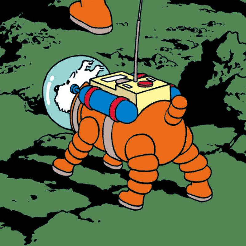 On a Marché sur La Lune Poster - Tintin Art