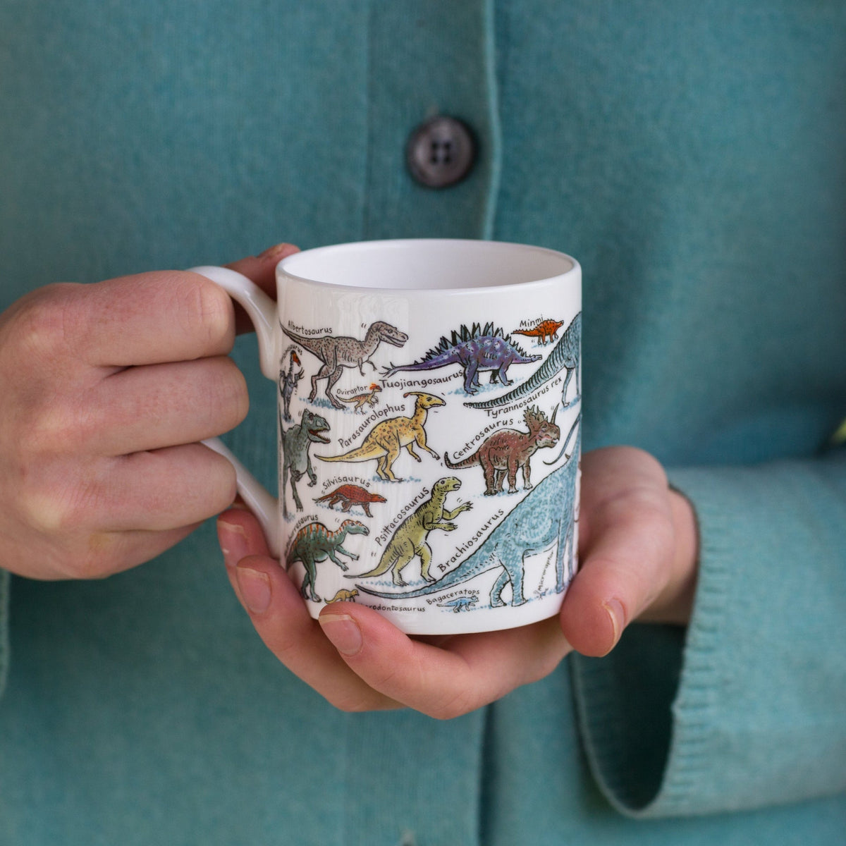 Colourful Dinosaurs Mug