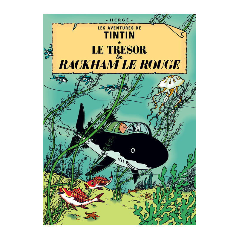 Le Trésor de Rackham Le Rouge Poster