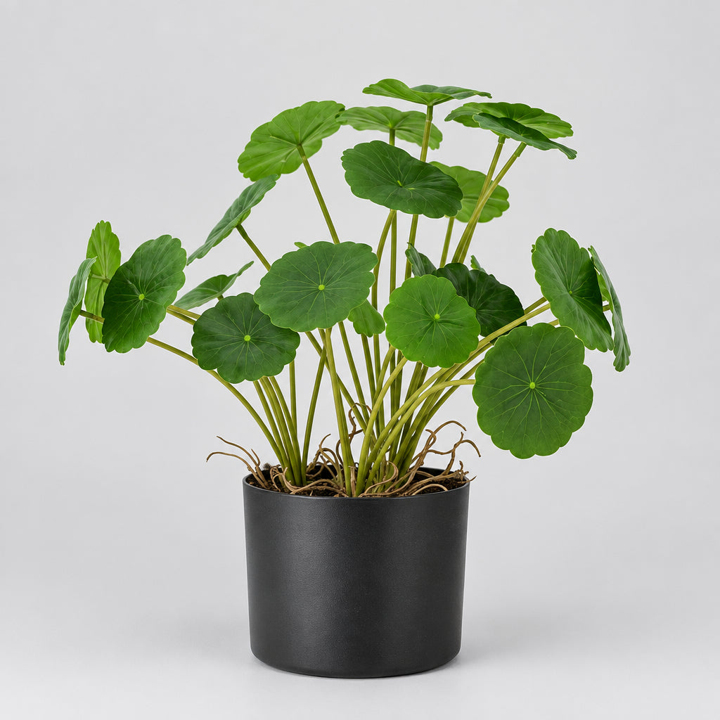 Artificial Copper Plant in Black Pot
