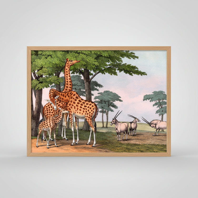 Giraffe &amp; Gemsbok Artwork