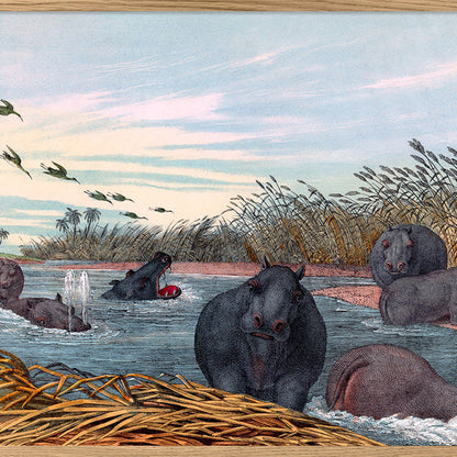 Colourful Hippopotamus Design Print