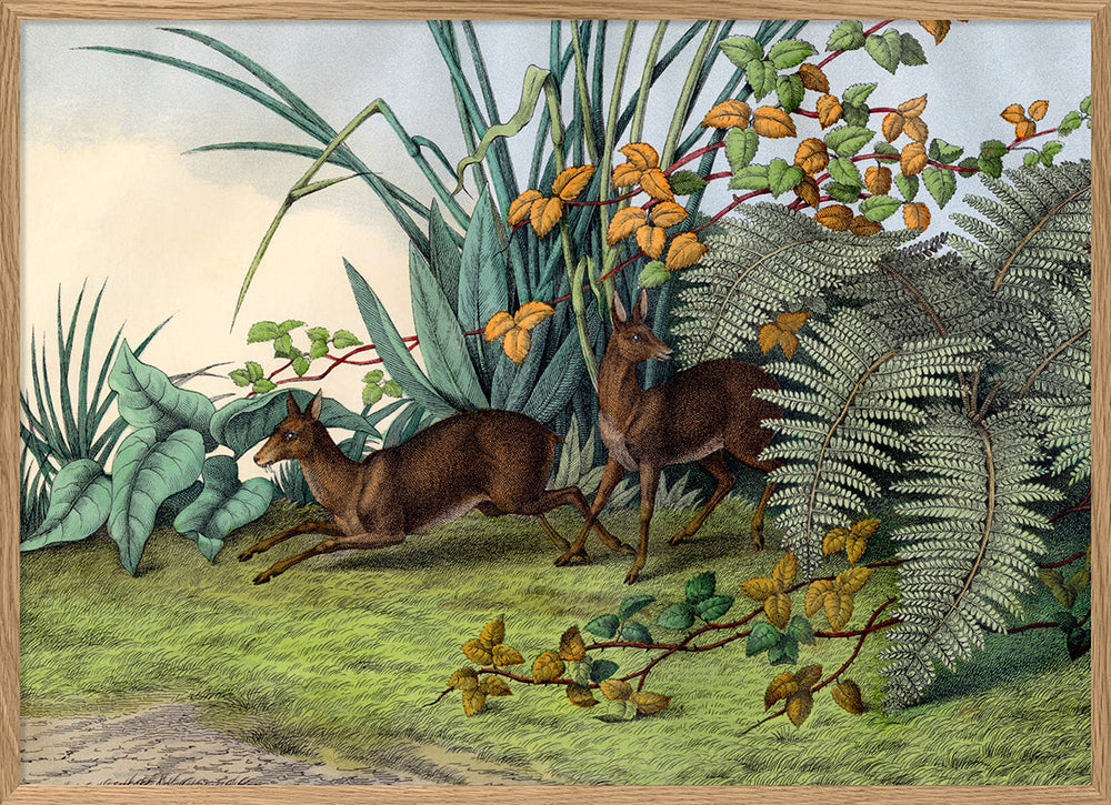 Musk Deer Art Print with Lush Greenery
