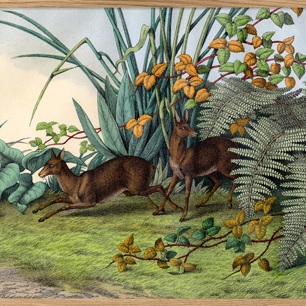 Musk Deer Art Print with Lush Greenery