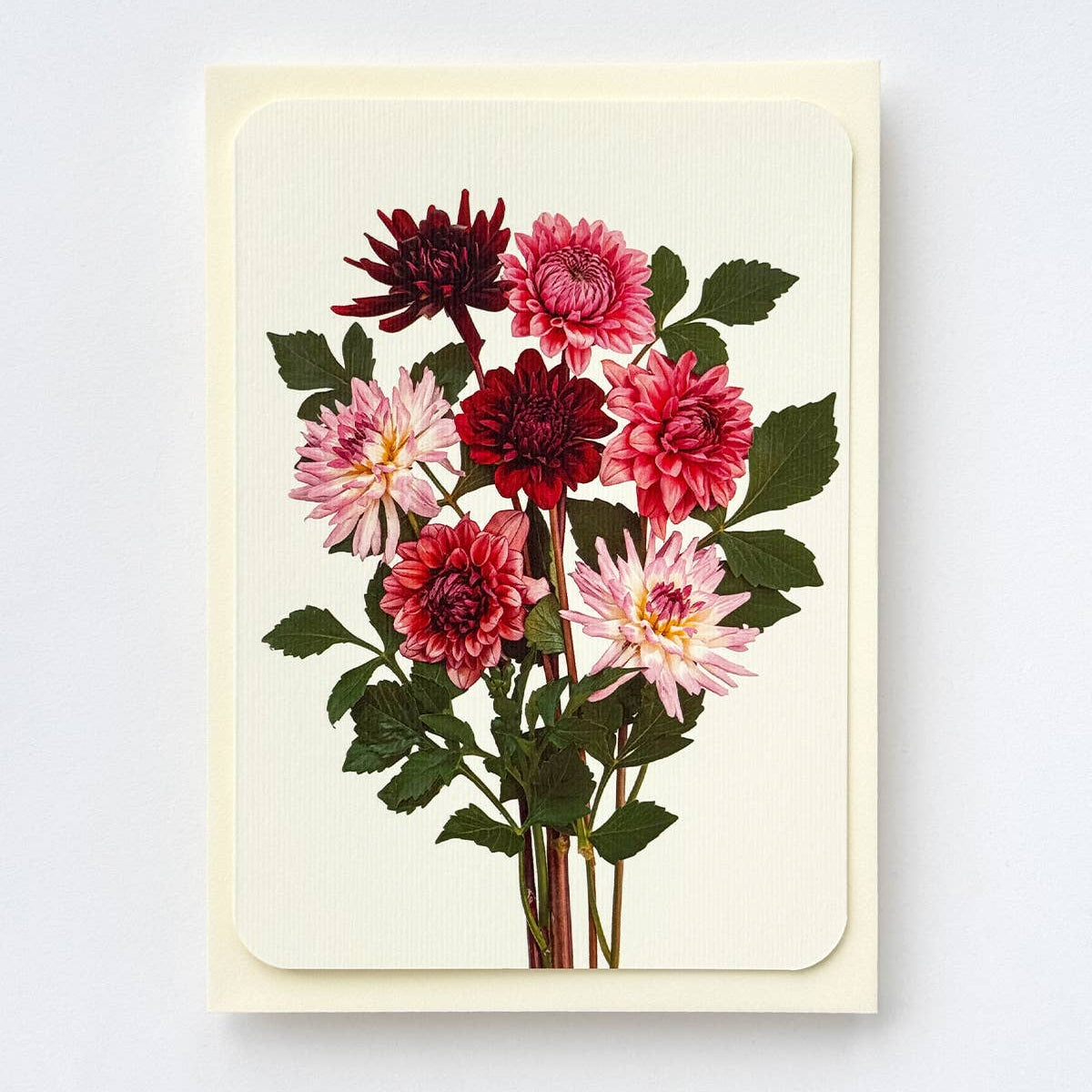 Garden Dahlias Greeting Card | Birthday Card | Luxury Cards