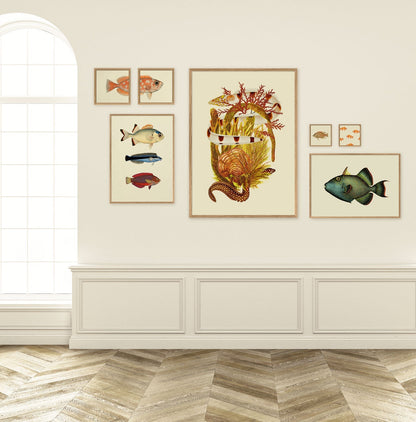 Colourful Fish Print by The Dybdahl