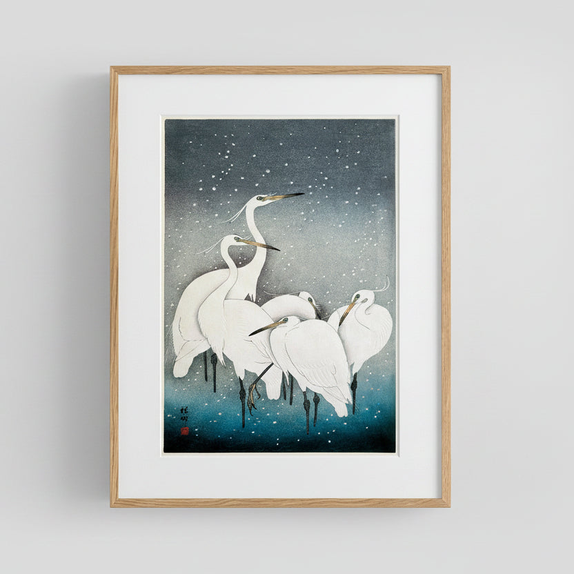Snowy Herons Art Print 