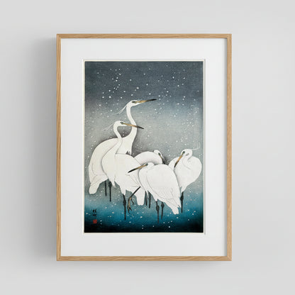 Snowy Herons Art Print 