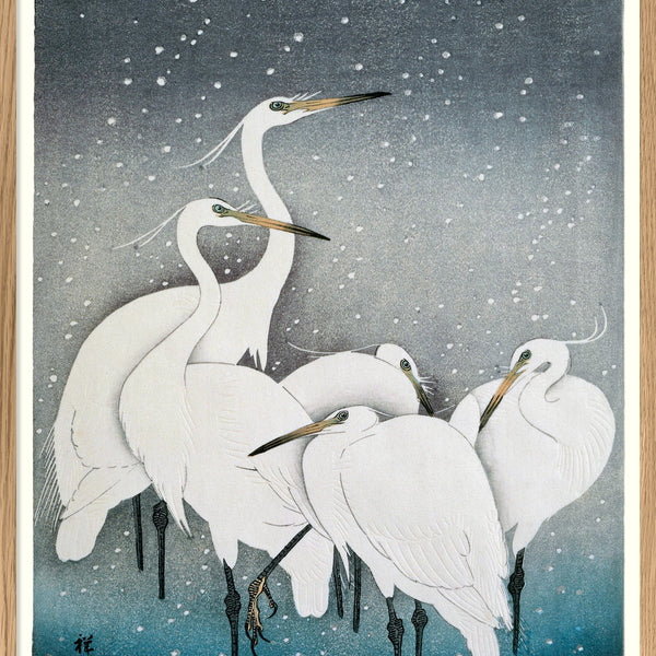 Snowy Herons Art Print 