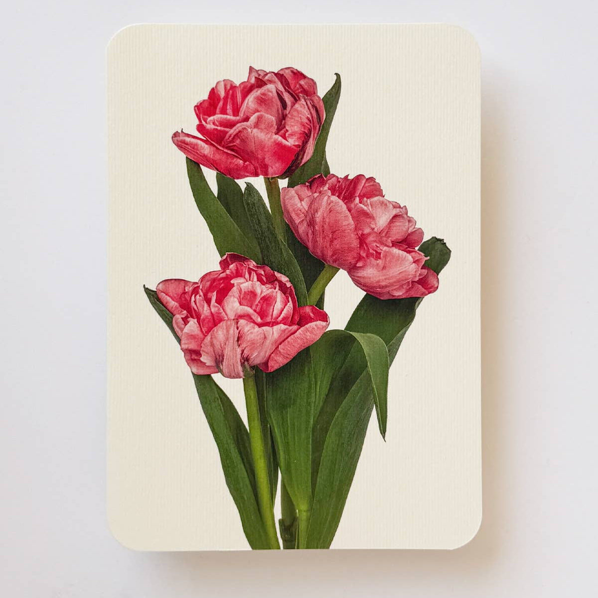 Pink Tulips Greeting Card | Birthday Card | Luxury Cards