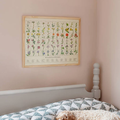 Wildflowers Fine Art Print - Vintage Botanical Illustrations