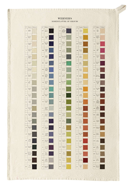 Organic Cotton Tea Towel - Werner&