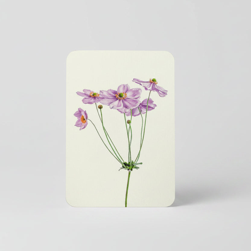 Anemone Greeting Card | Birthday Card | Luxury Cards