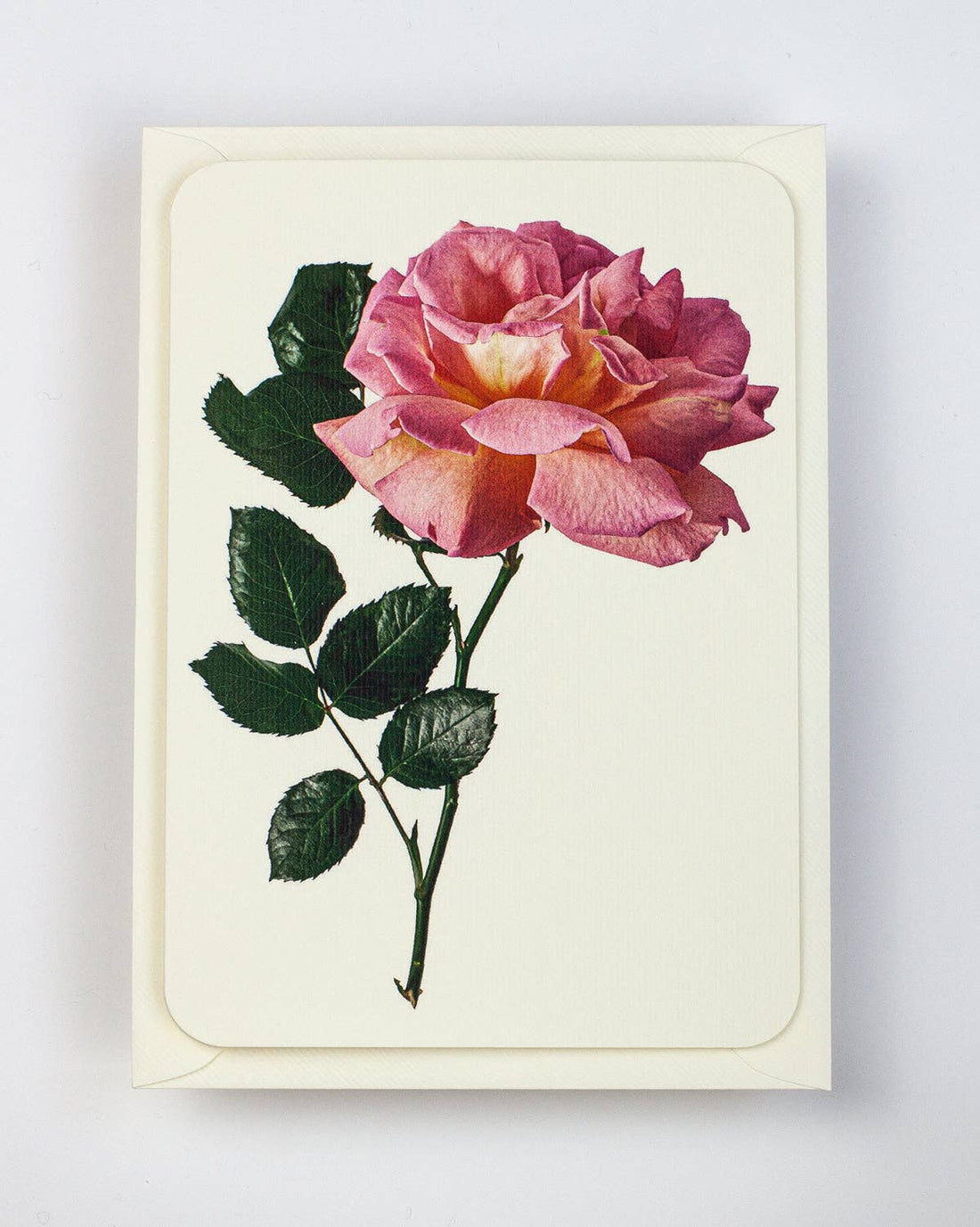Pink Rose Greeting Card | Birthday Card | Luxury Cards