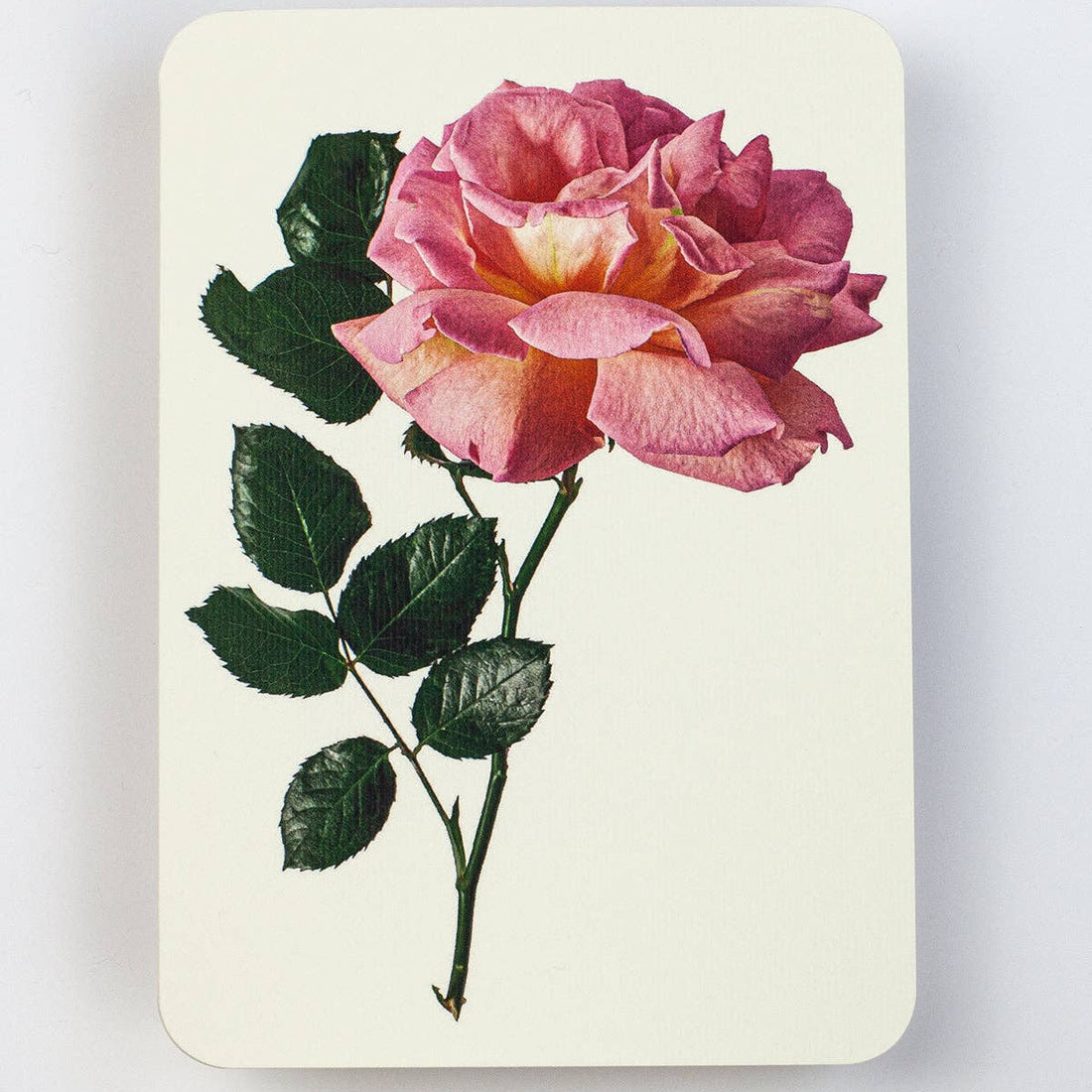 Pink Rose Greeting Card | Birthday Card | Luxury Cards