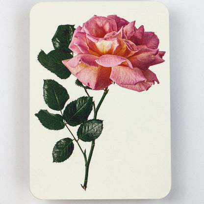 Pink Rose Greeting Card | Birthday Card | Luxury Cards