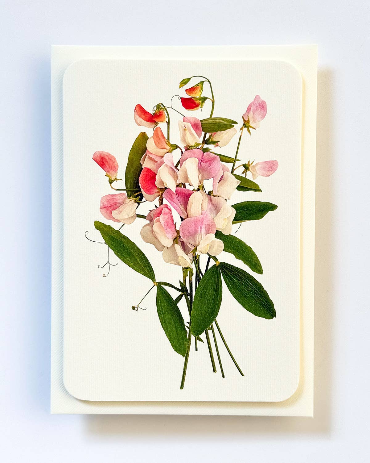 Pink Sweet Peas Greeting Card | Birthday Card | Luxury Cards