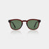 Bate Brown Transparent Sunglasses with UV Protection