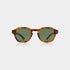 Zan - Havana Sunglasses with UV400 Protection