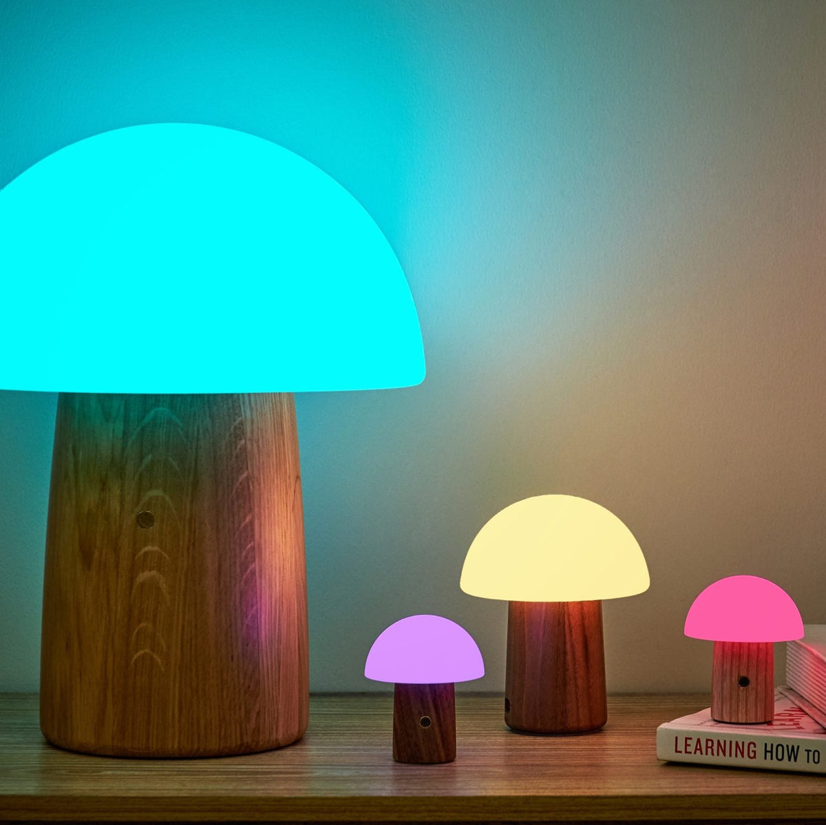 Alice Mushroom Lamp in Walnut and White Ash