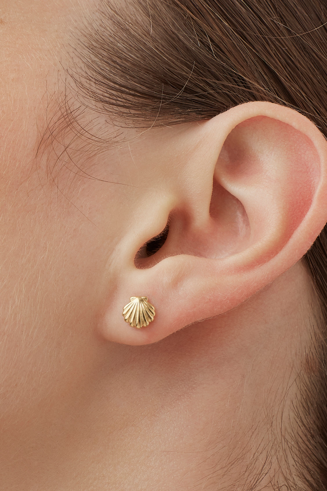 Gold-Plated Seashell Stud Earrings