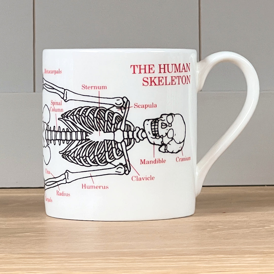 Human Skeleton Coffee Mug 