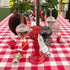 Red & White Gingham Cotton Tablecloth