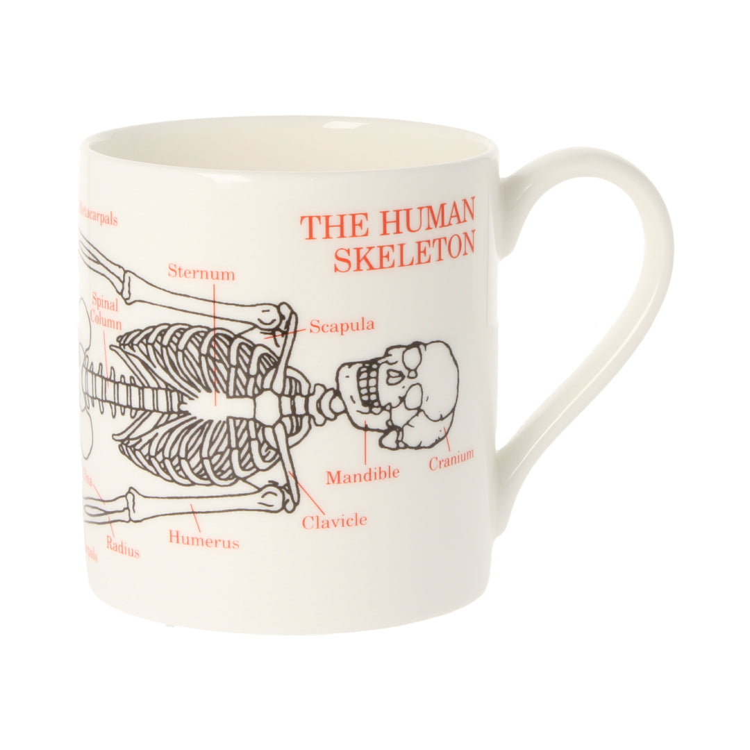 Human Skeleton Coffee Mug 