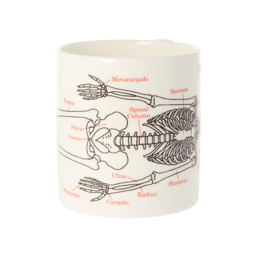 Human Skeleton Coffee Mug 