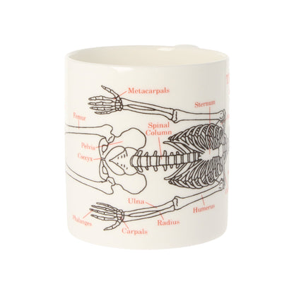Human Skeleton Coffee Mug 