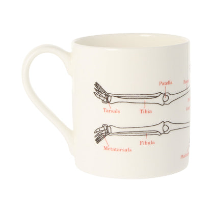 Human Skeleton Coffee Mug 
