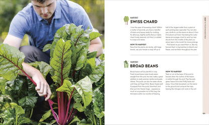 Veg in One Bed - Hardback Gardening Guide