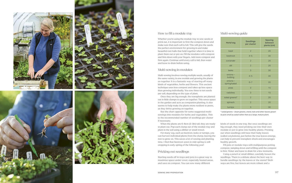 Productive Garden: A Guide to Self-Sufficiency