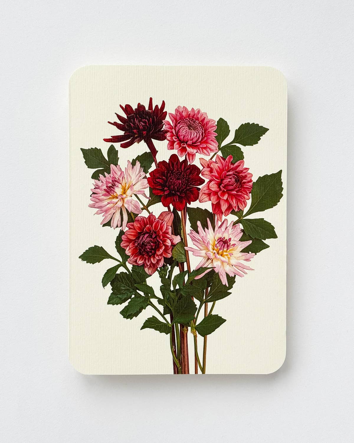 Garden Dahlias Greeting Card | Birthday Card | Luxury Cards