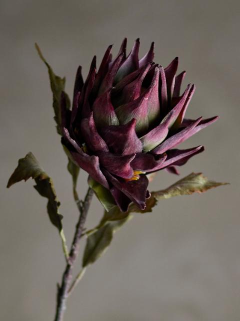 Purple Protea Stem - Artificial Flower Decoration
