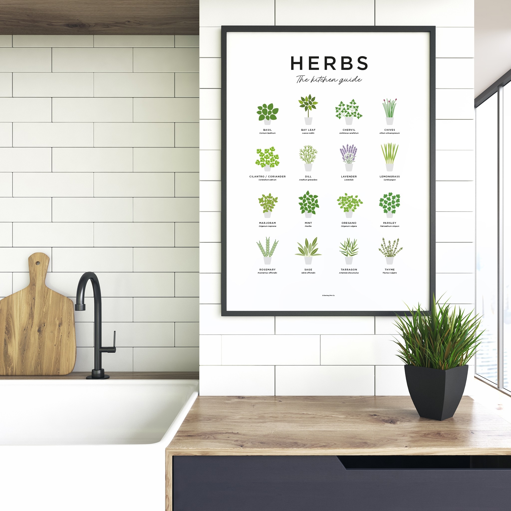 Everlong Print Co. Herb Guide 