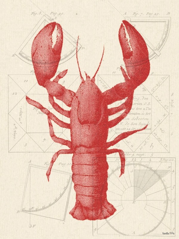 Vanilla Fly Lobster Poster Print 50x70cm