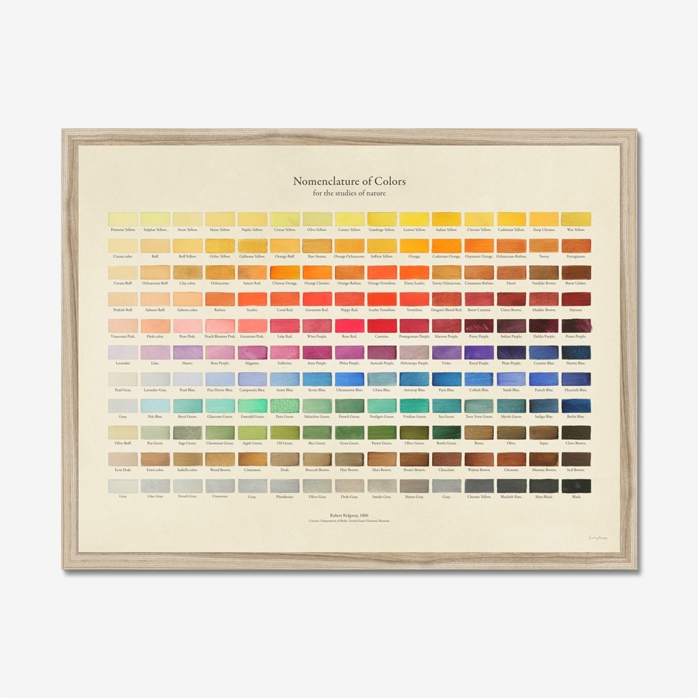 Roomy Town Framed Oak Print - Nomenclature of Colours