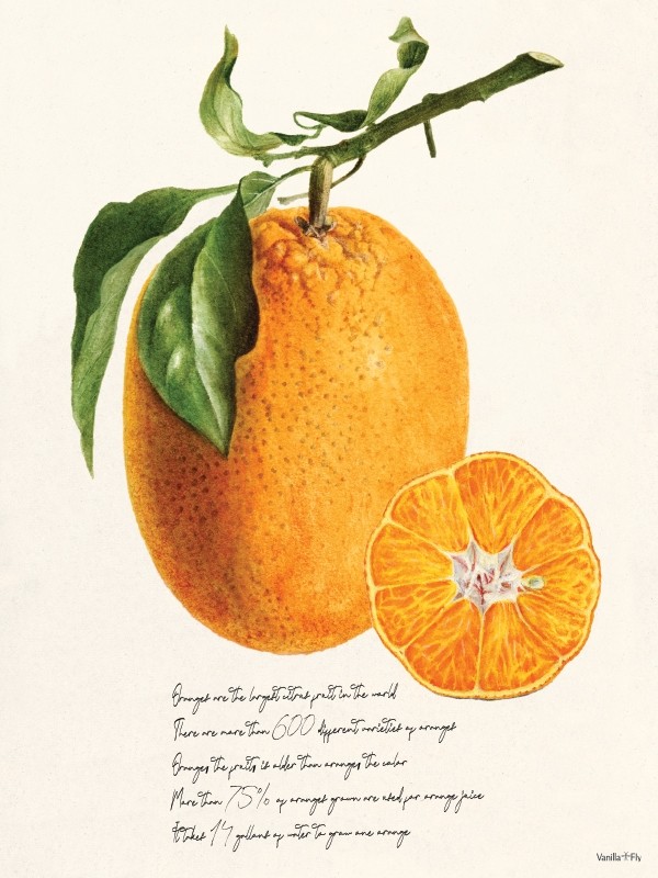 Vanilla Fly Oranges Print 30x40cm