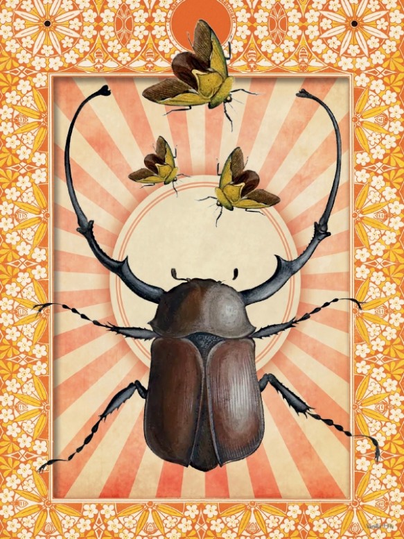 Vanilla Fly Indian Beetle Print 30x40cm