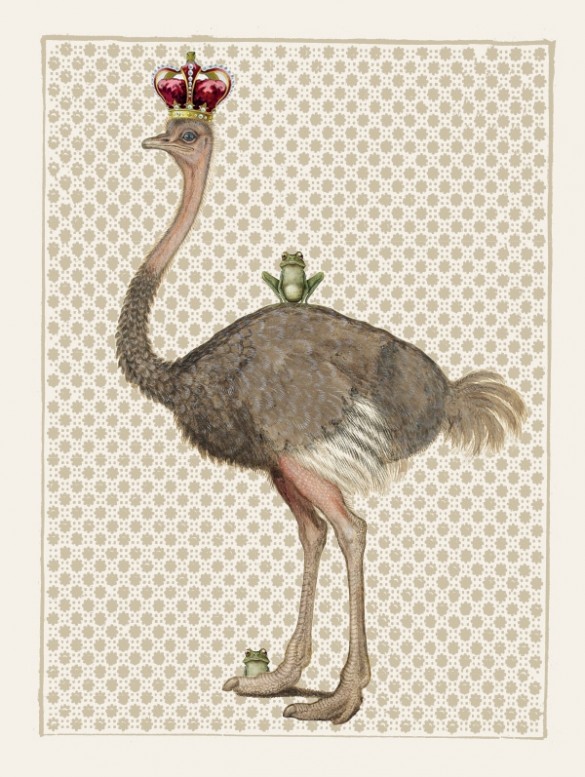 Vanilla Fly Ostrich Poster Print 50x70cm